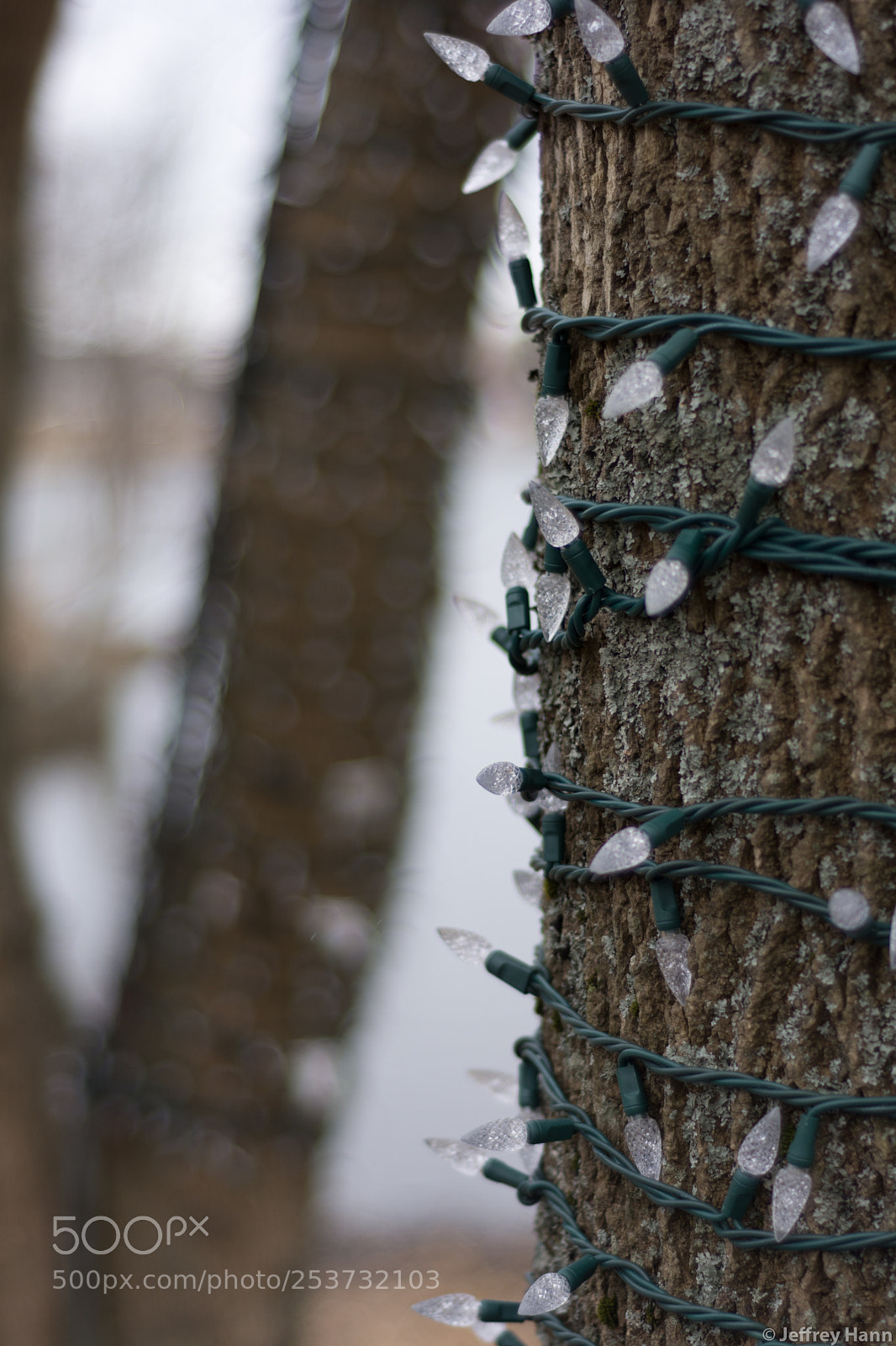 Nikon D7100 sample photo. Leftover lights photography