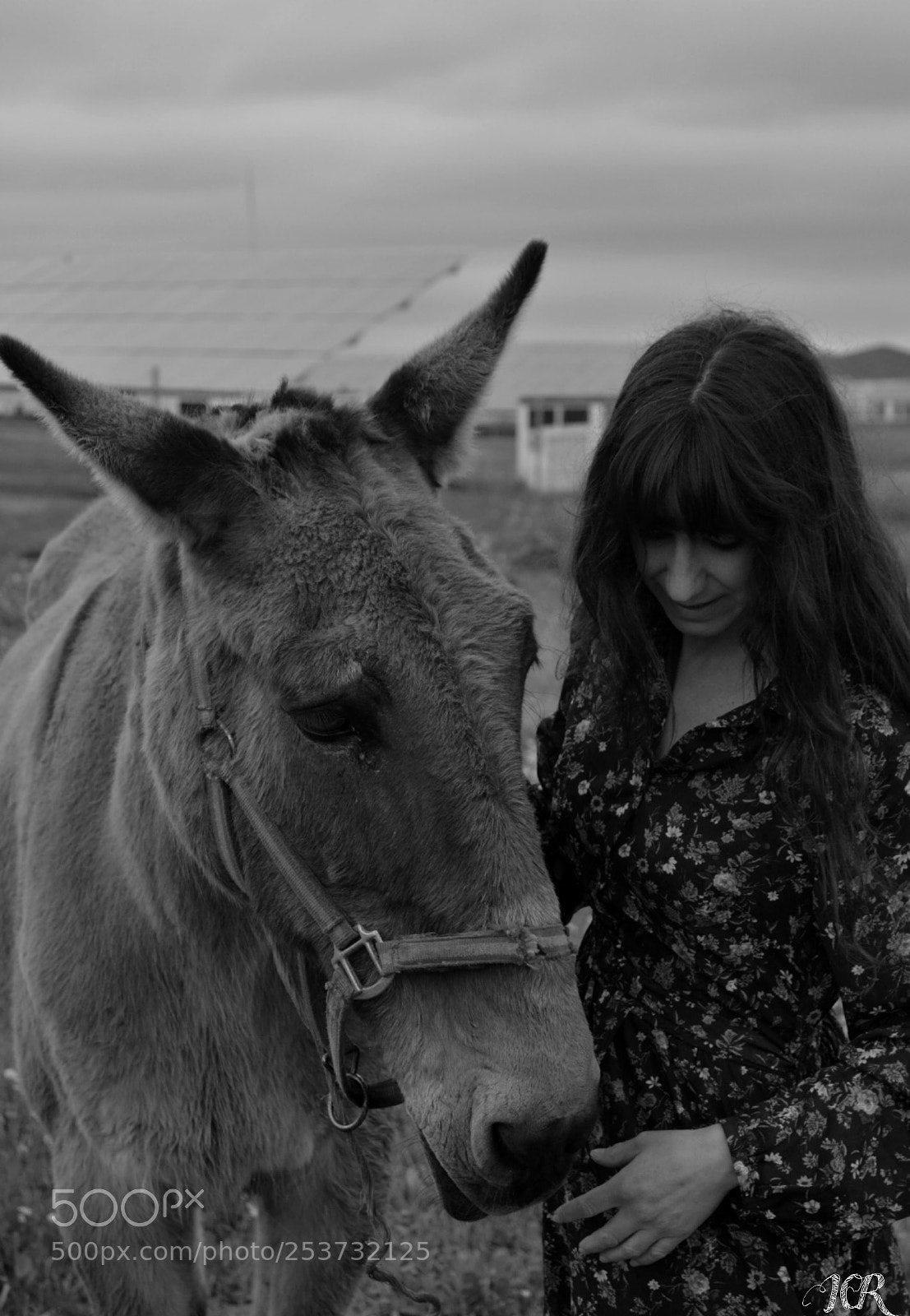 Nikon D5200 sample photo. Animal photography