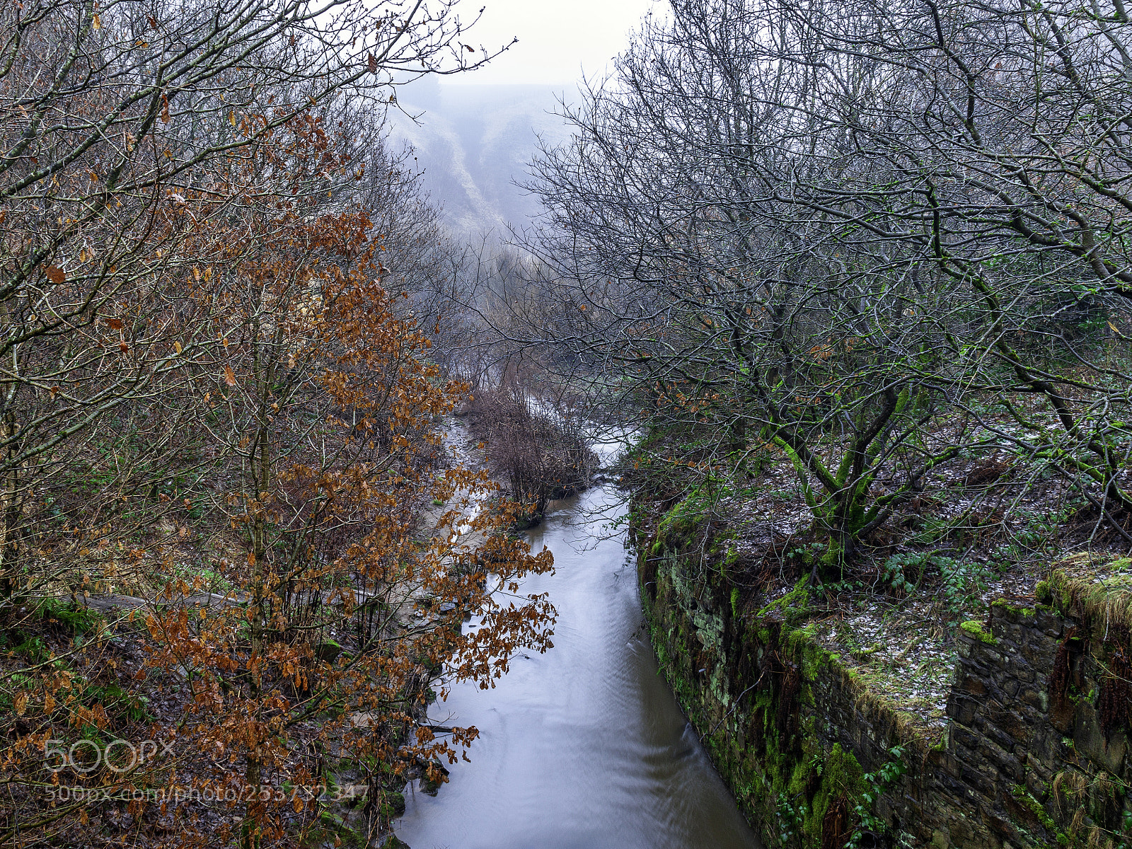Canon EOS 5D Mark II sample photo. Mist over the medlock photography
