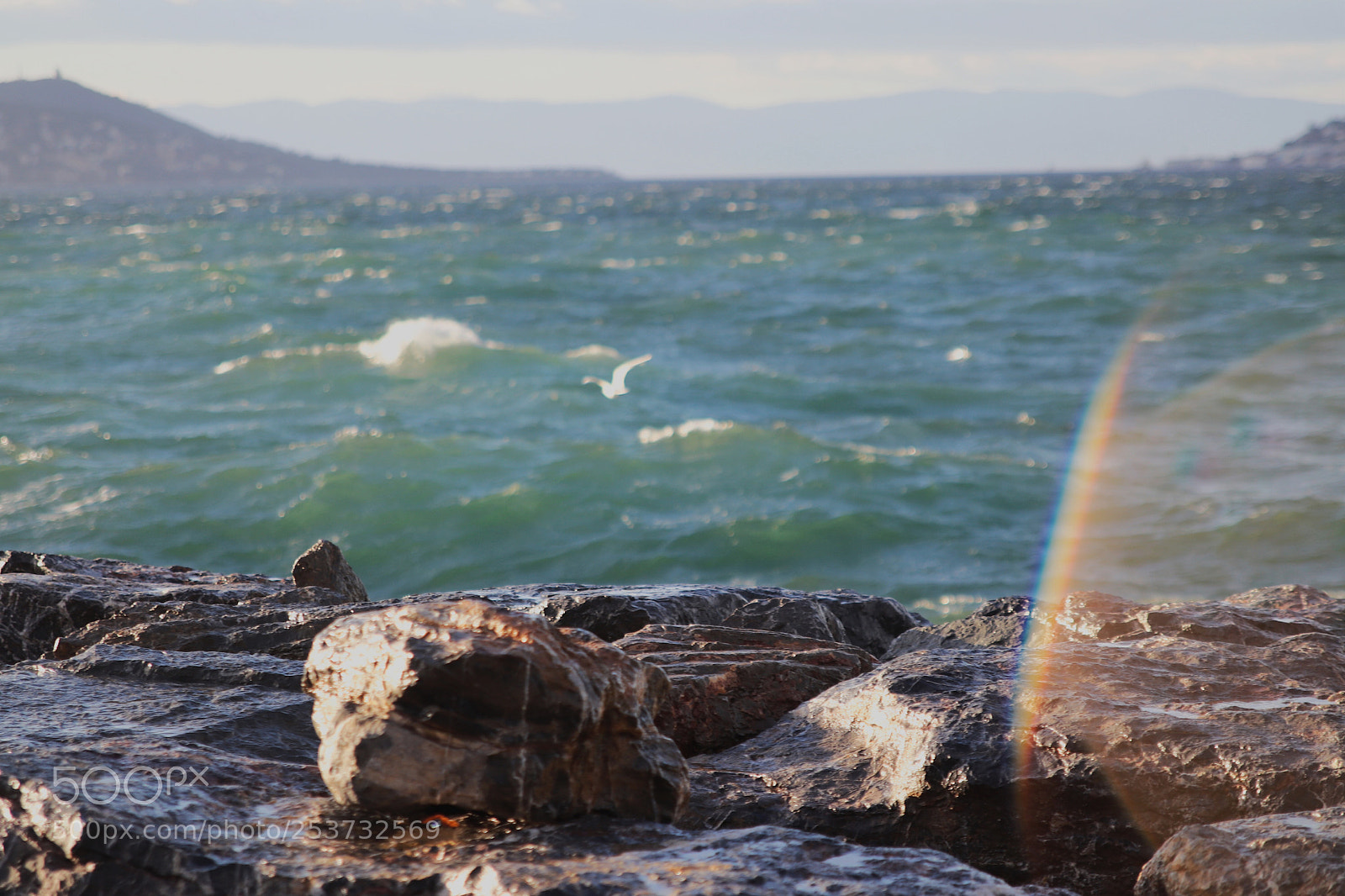 Canon EOS 77D (EOS 9000D / EOS 770D) sample photo. Untitled photography