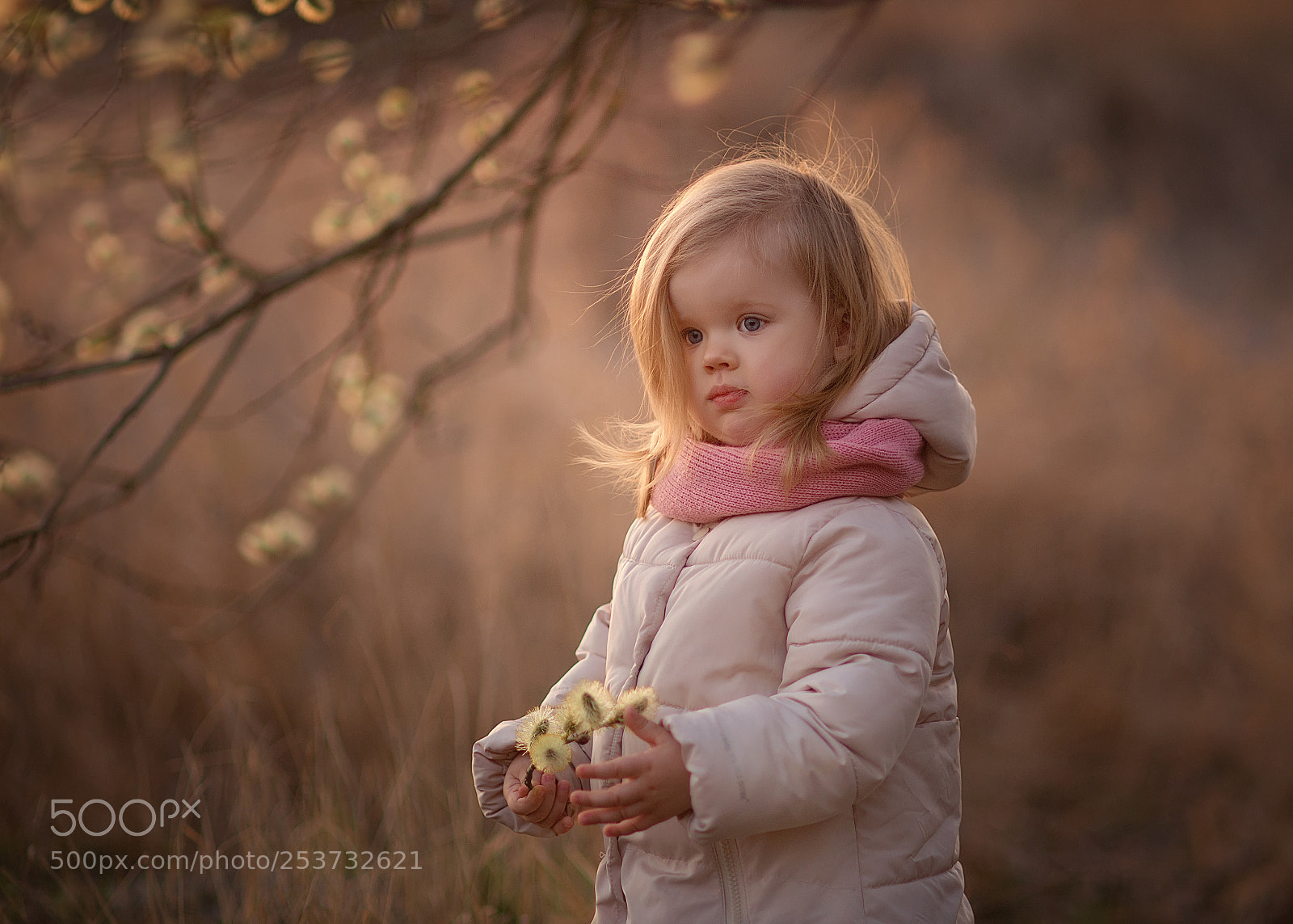 Nikon D610 sample photo. Апрельские зарисовки photography