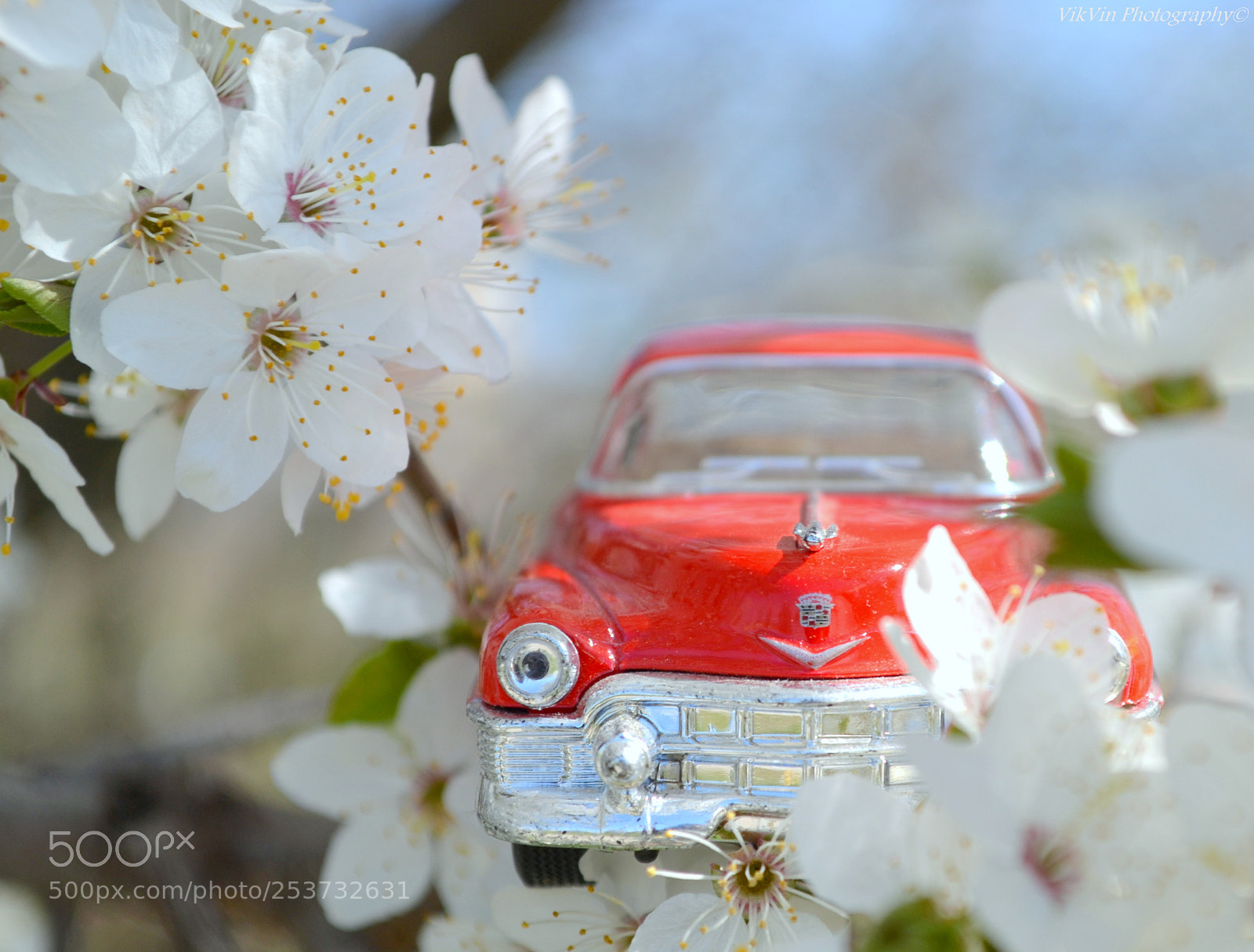 Nikon D3100 sample photo. Blooming spring car love photography