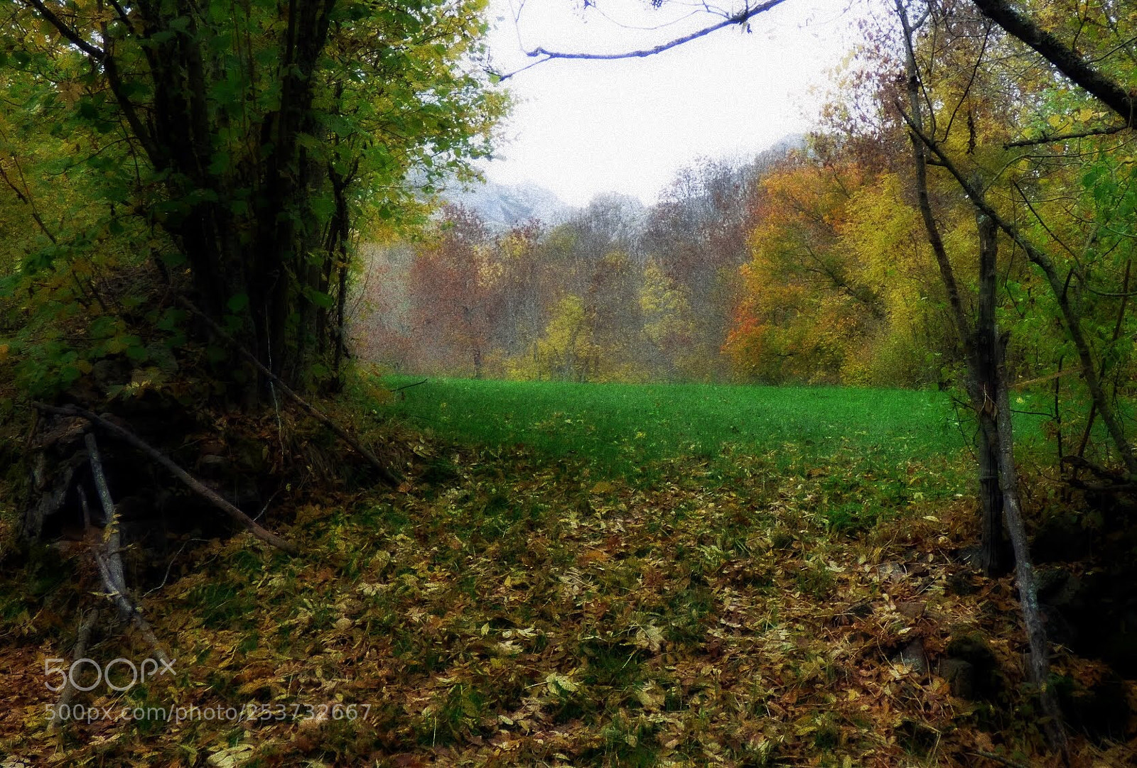 Panasonic DMC-FZ72 sample photo. Otoño’15
autumn’15 photography