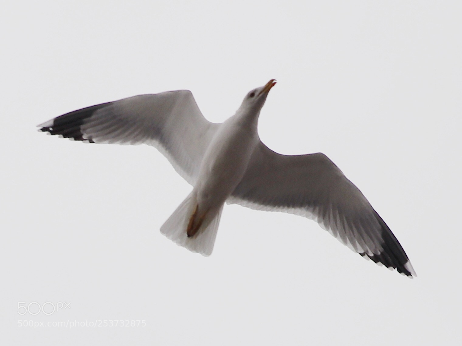 Canon EOS 77D (EOS 9000D / EOS 770D) sample photo. Untitled photography