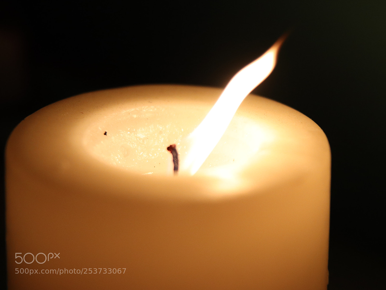 Canon EOS 77D (EOS 9000D / EOS 770D) sample photo. Untitled photography