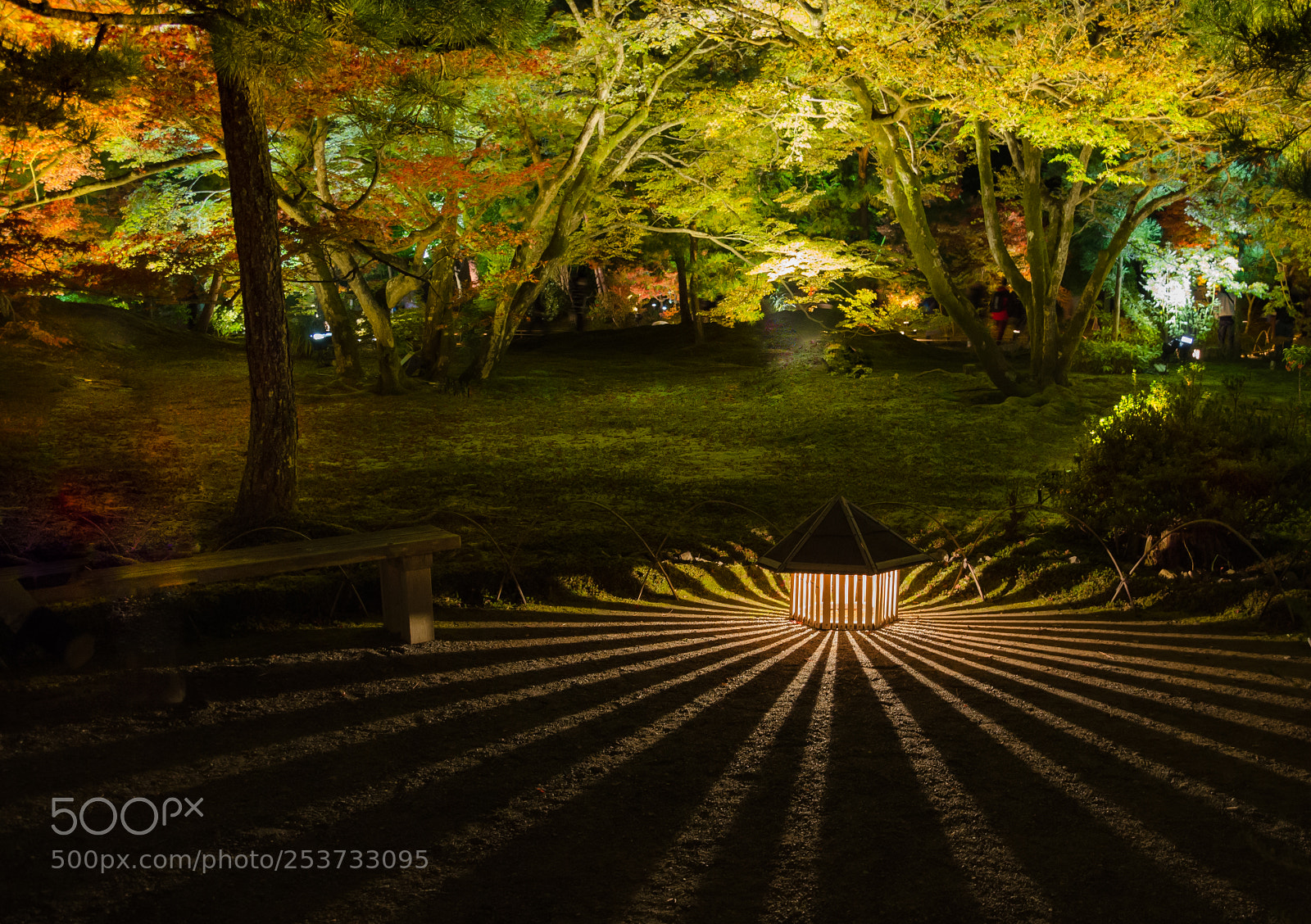 Nikon D7000 sample photo. Light motion photography