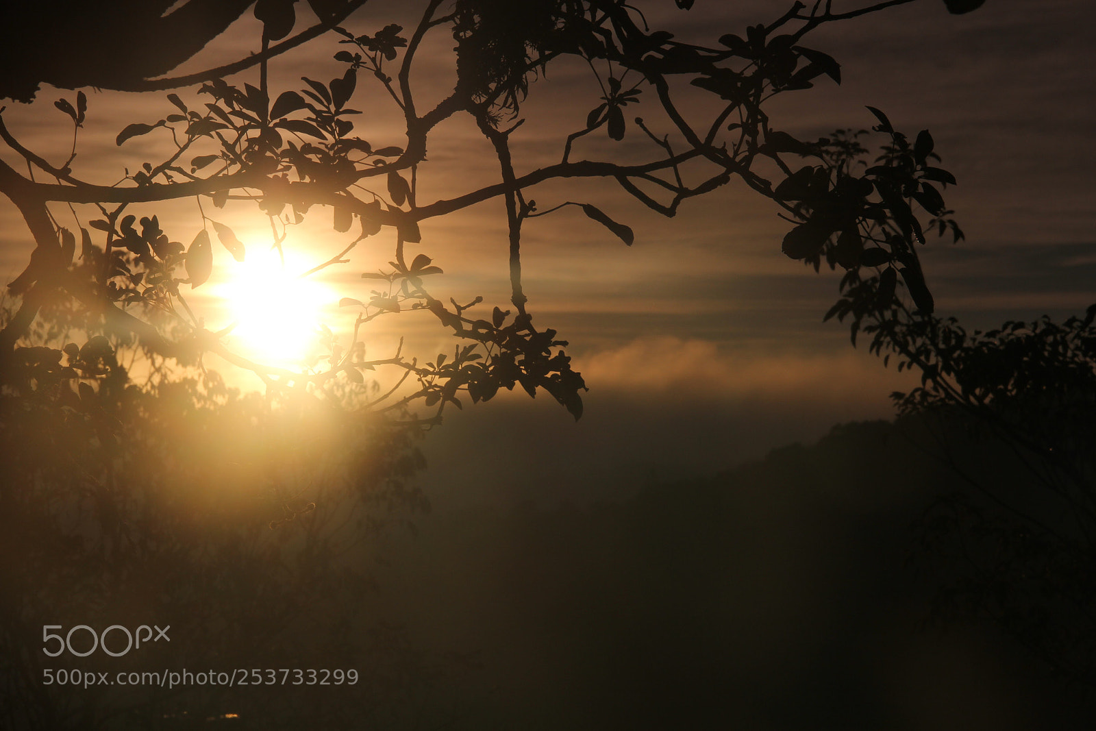 Canon EF-S 18-135mm F3.5-5.6 IS sample photo. Untitled photography