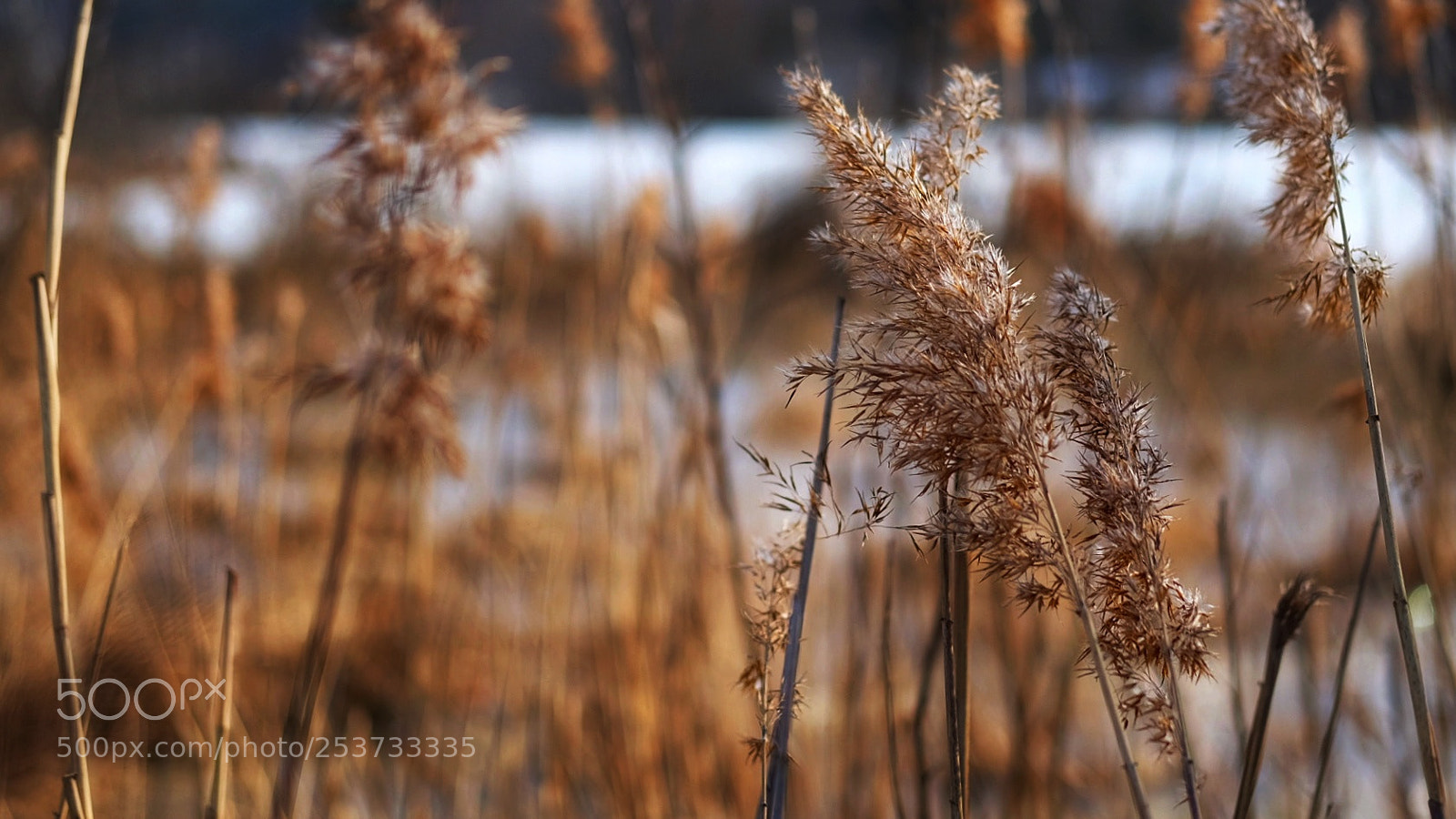 Fujifilm X-T10 sample photo. Springtime photography