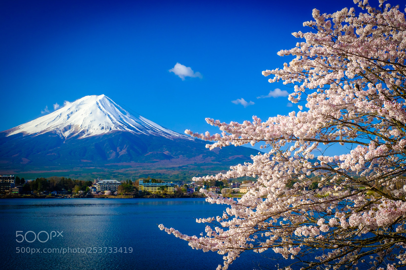 Fujifilm X-T2 sample photo. Mt fuji, cherry blossoms photography