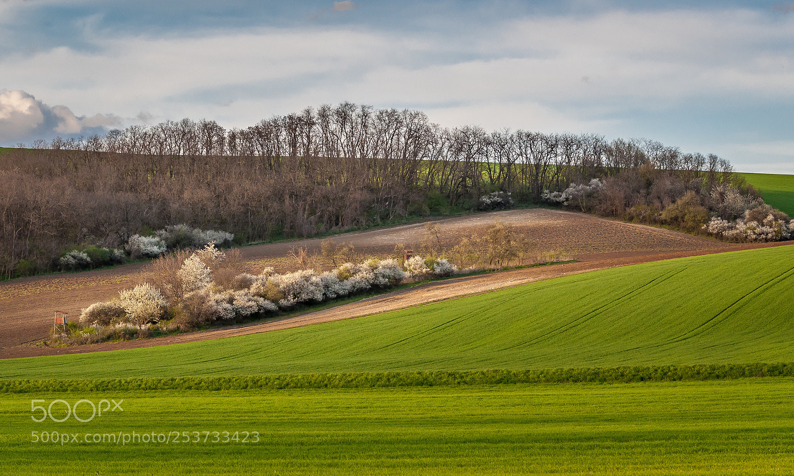 Nikon D5000 sample photo. Spring ii photography