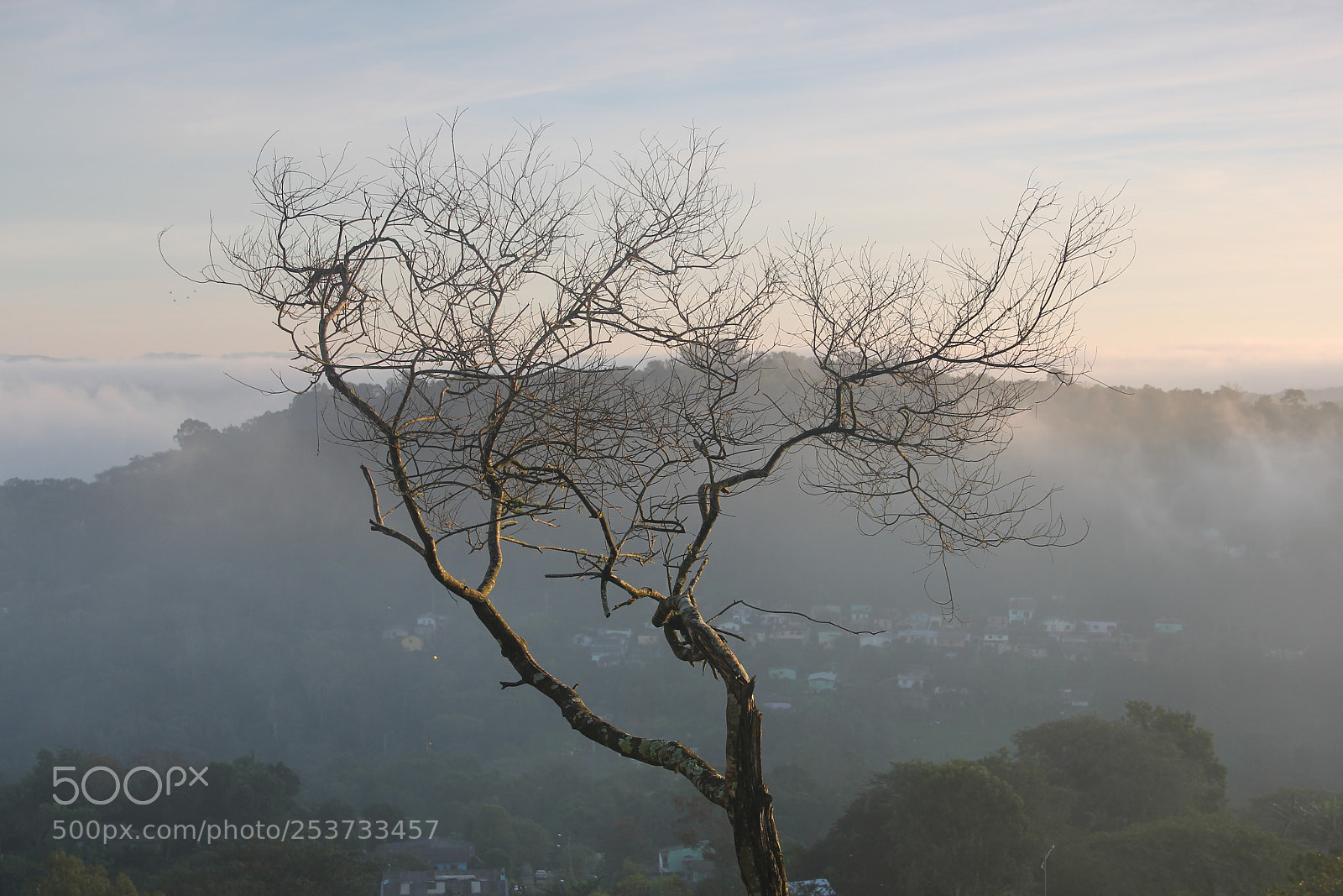 Canon EF-S 18-135mm F3.5-5.6 IS sample photo. Untitled photography