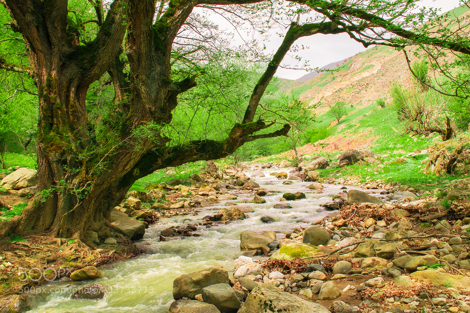 Nikon D5300 sample photo. The river photography