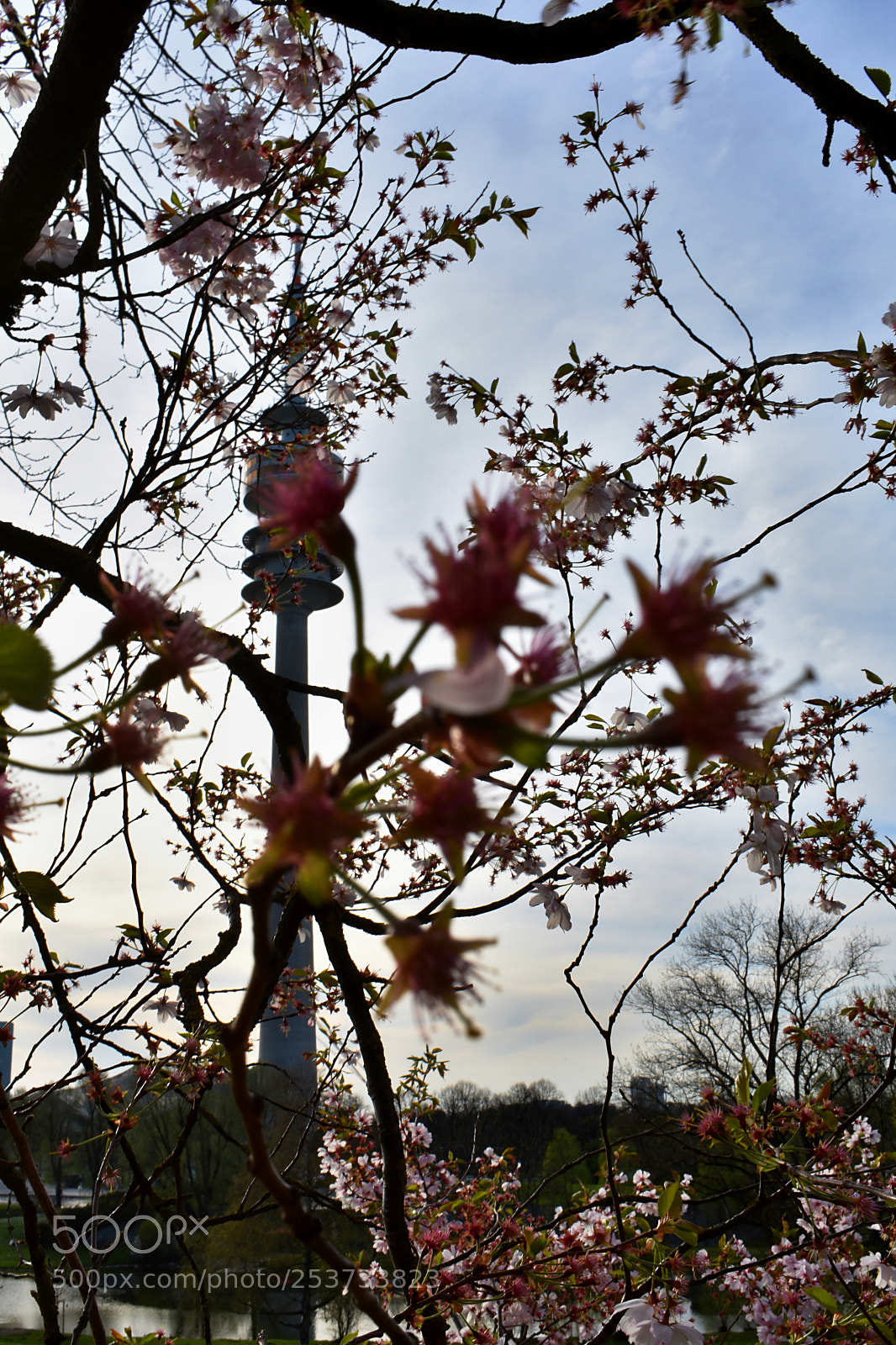 Nikon D3400 sample photo. The tower among flowers photography