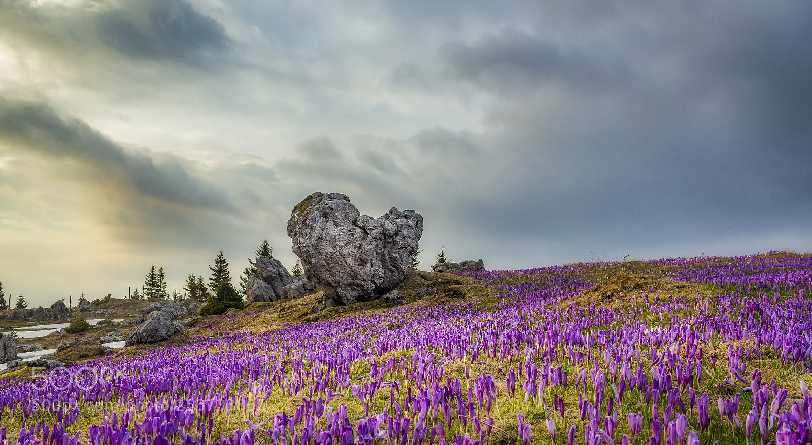 Canon EOS 600D (Rebel EOS T3i / EOS Kiss X5) sample photo. Velika planina photography