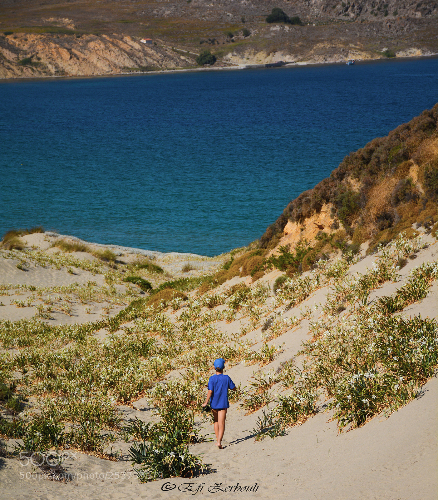Nikon D7100 sample photo. The island photography