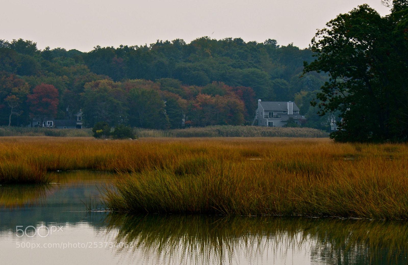 Nikon D600 sample photo. Autumn on the marsh photography