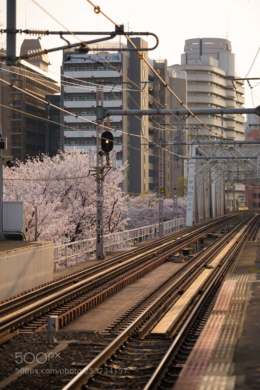 Canon EOS 5D Mark IV sample photo. Sunset commute photography