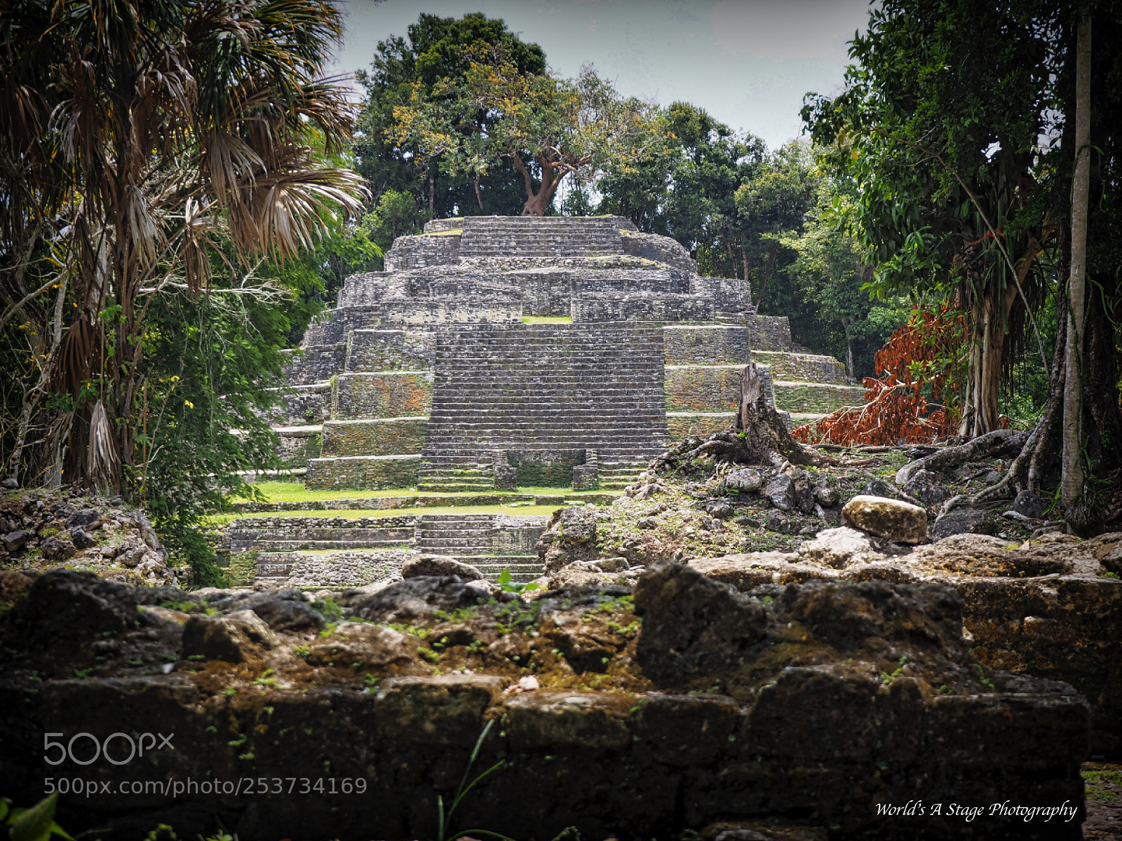 Olympus OM-D E-M10 II sample photo. Temple of the jaguar photography