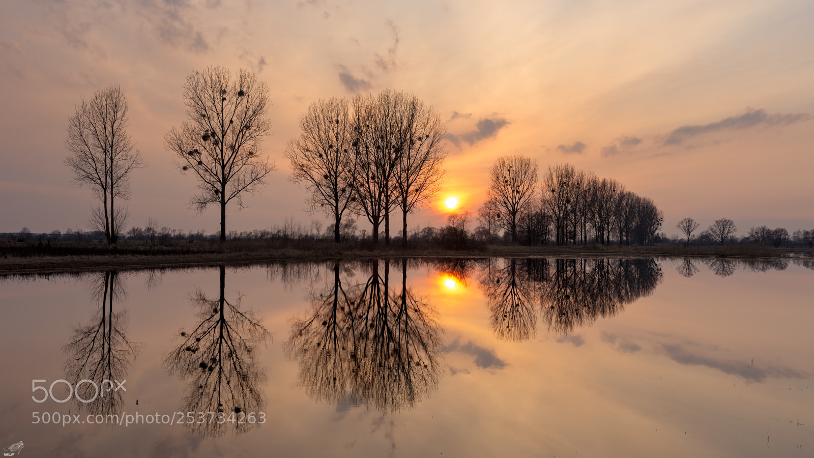Nikon D610 sample photo. Backwaters reflection 1 photography