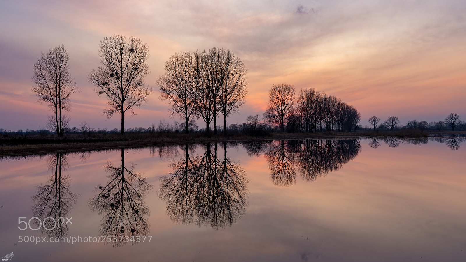 Nikon D610 sample photo. Backwaters reflection 2 photography