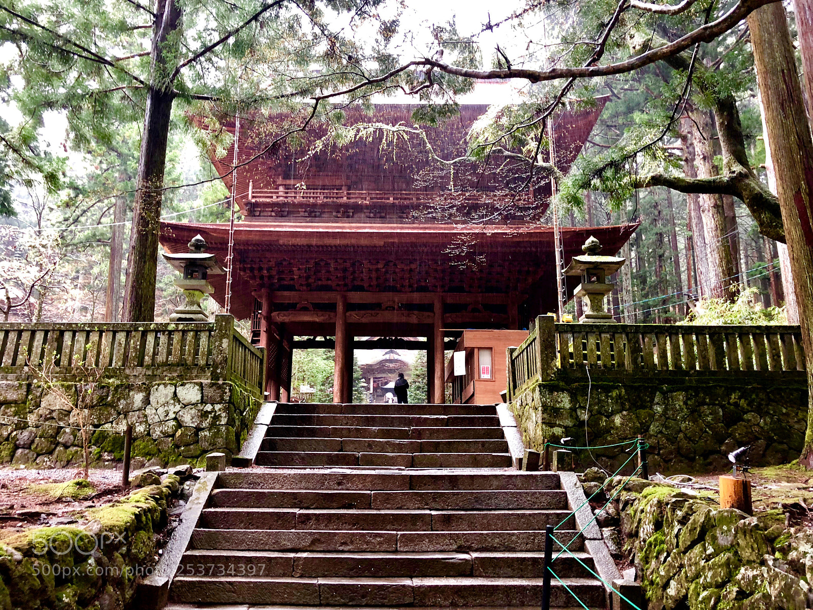 Apple iPhone 8 sample photo. Kozenji temple in nagano photography