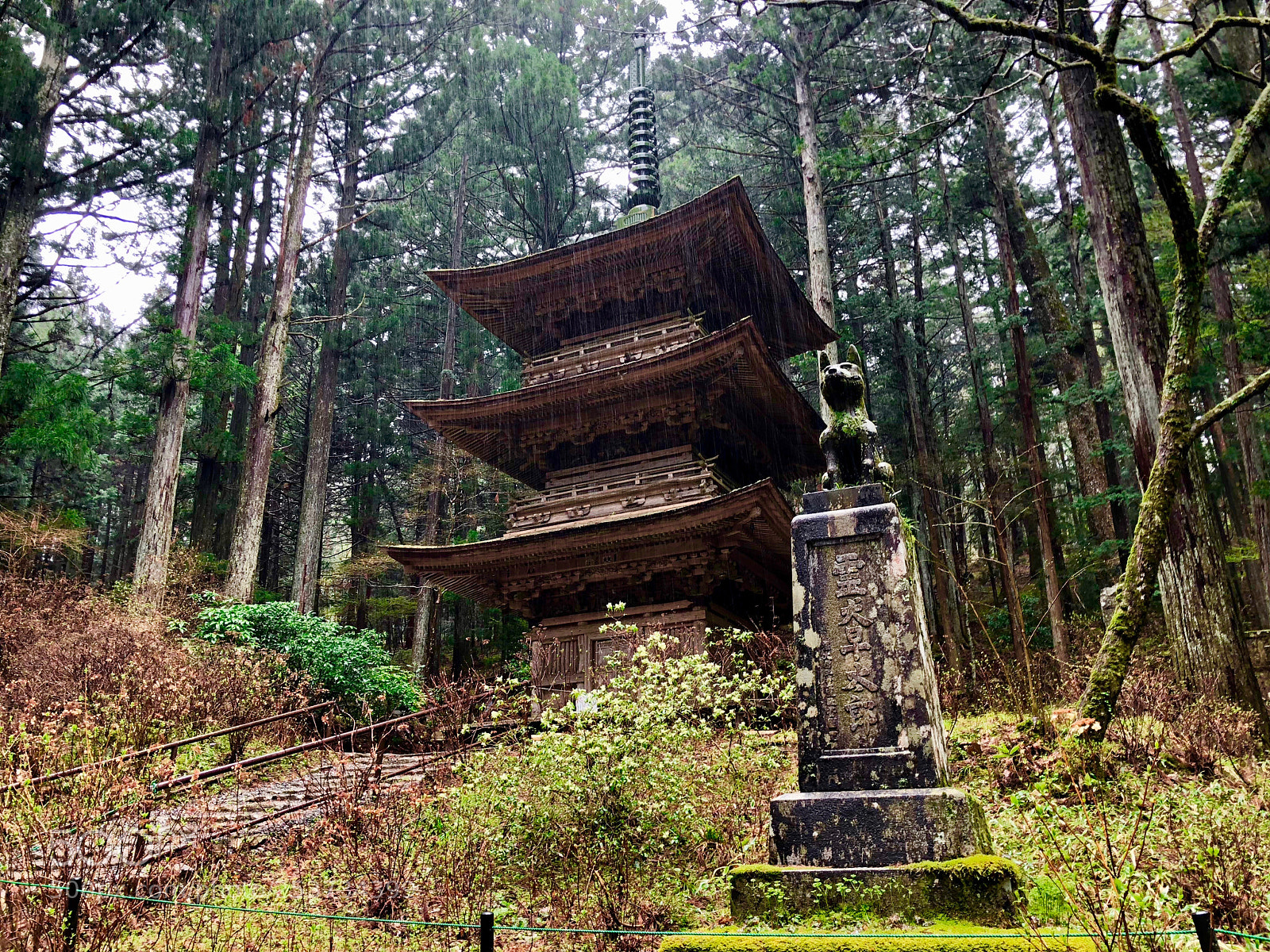 Apple iPhone 8 sample photo. Kozenji temple in nagano photography