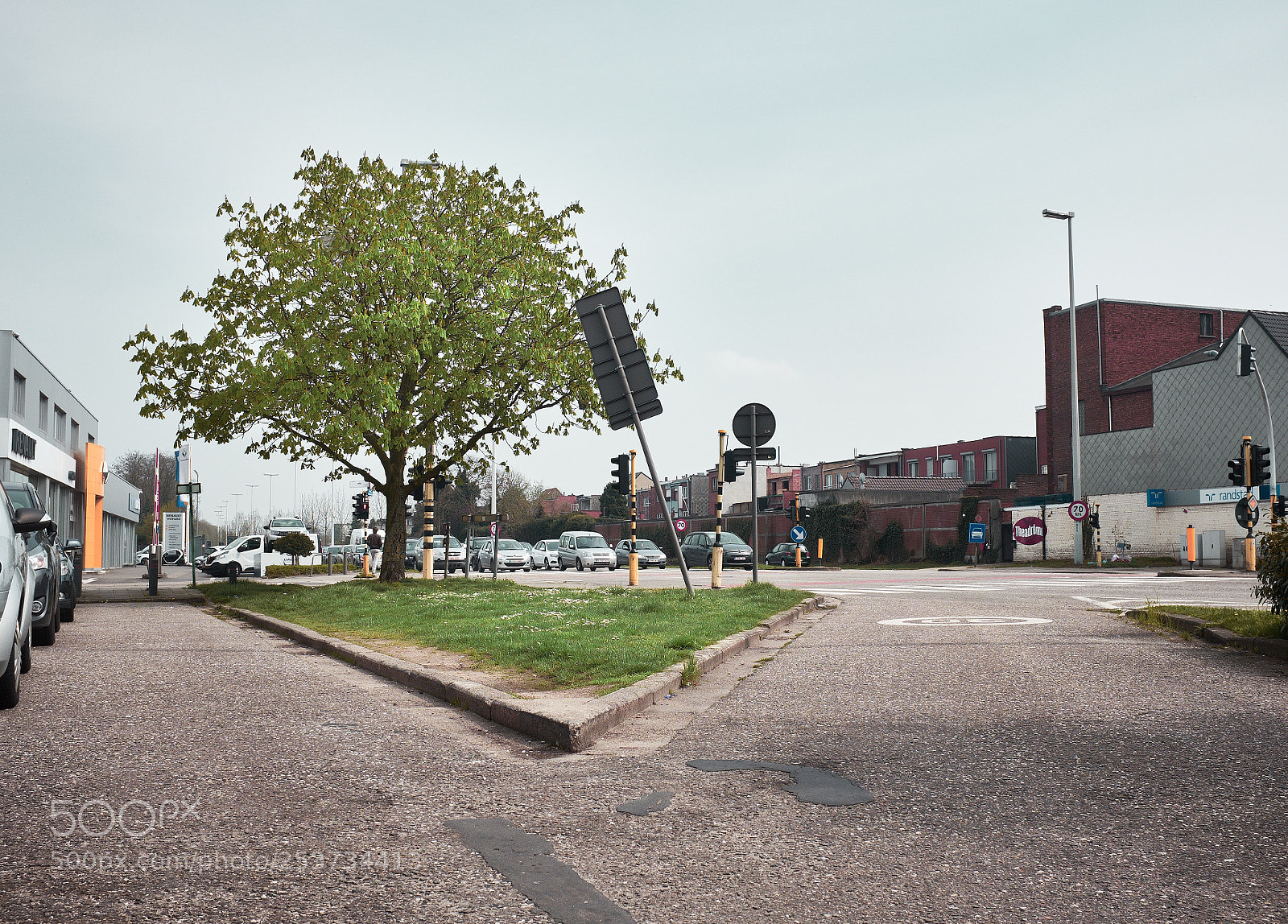 Fujifilm X100S sample photo. Lonely tree photography