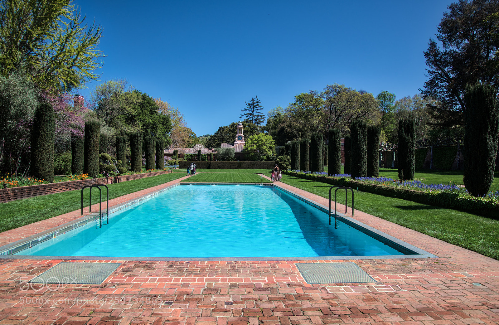 Nikon D850 sample photo. Gardens & pool photography