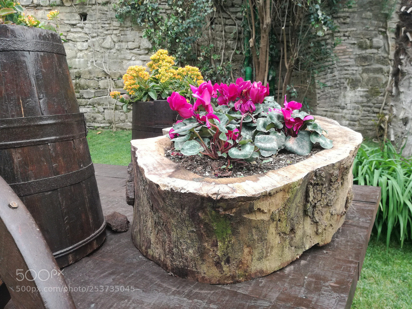 HUAWEI P9 LITE sample photo. Garden photography