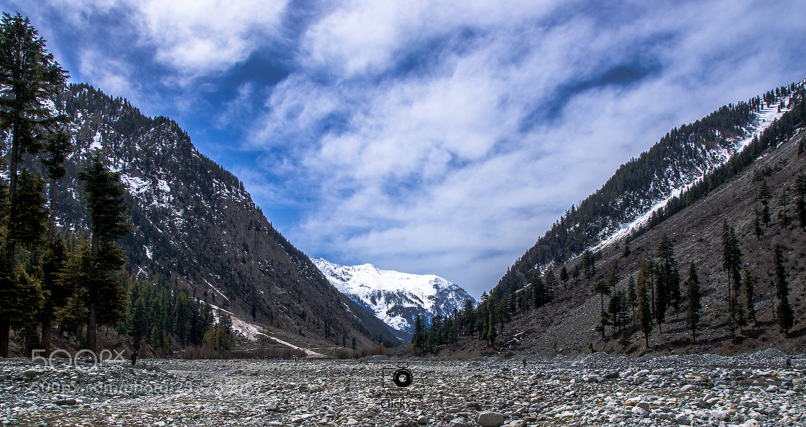 Nikon D7000 sample photo. Nik_1160-3.jpg photography