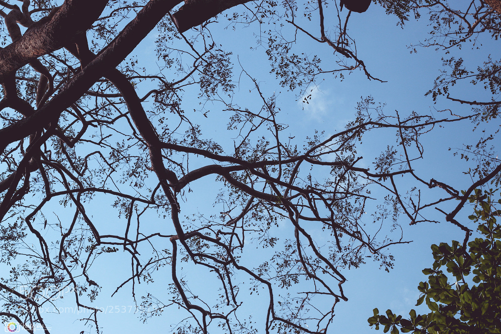 Canon EOS 70D sample photo. Img photography