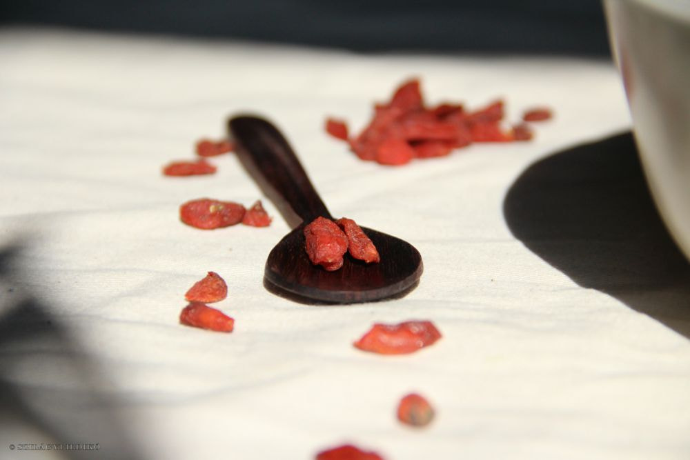 Canon EF-S 18-135mm F3.5-5.6 IS sample photo. Img photography