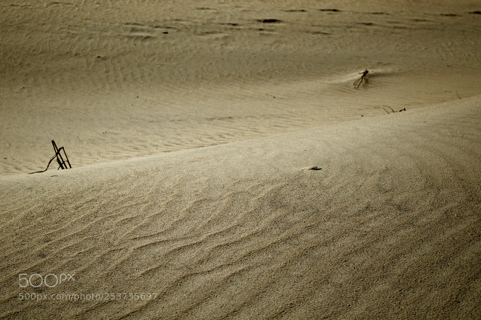 Nikon D3200 sample photo. Dunes iv photography