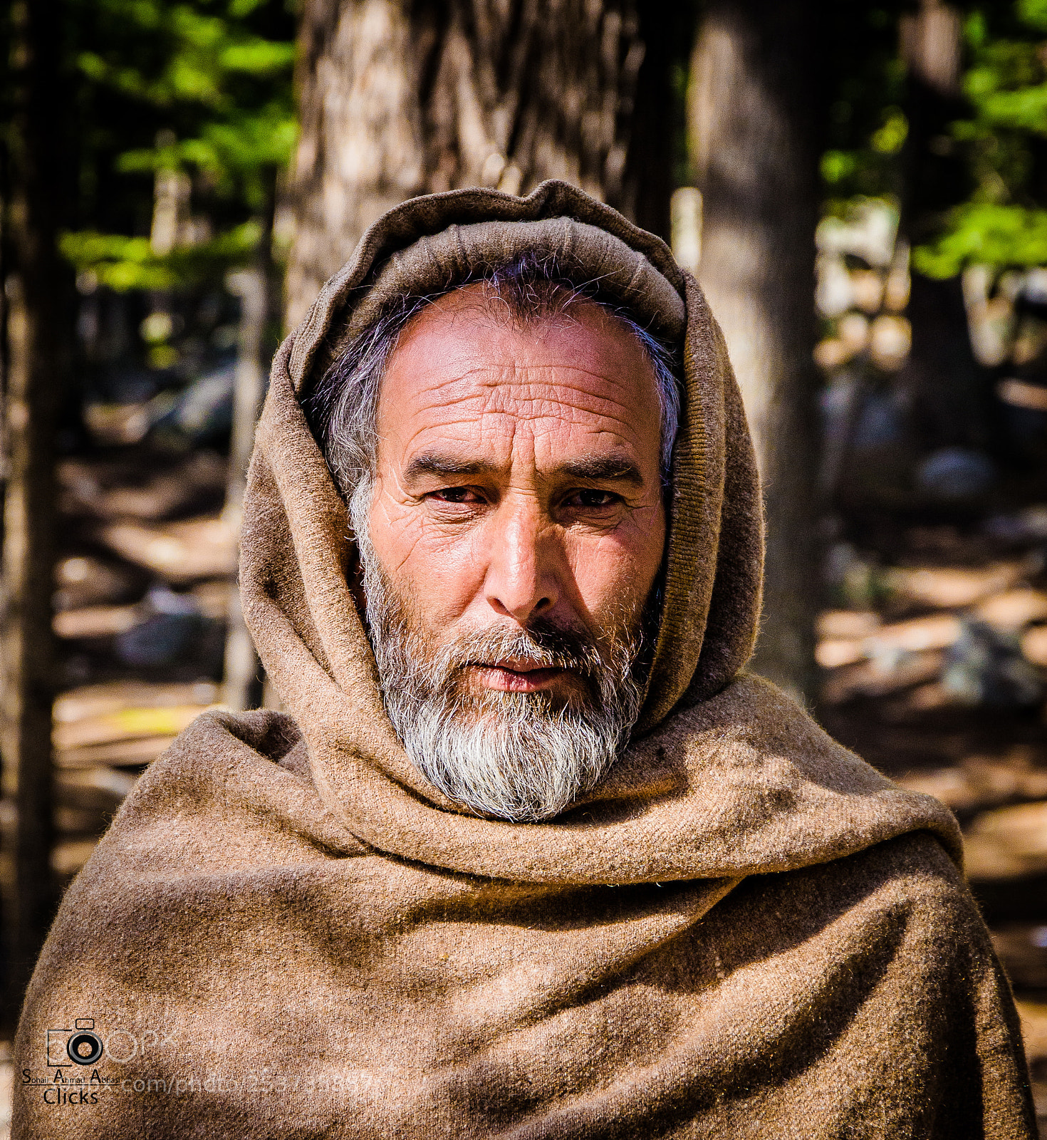 Nikon D7000 sample photo. Nik_1094-3.jpg photography