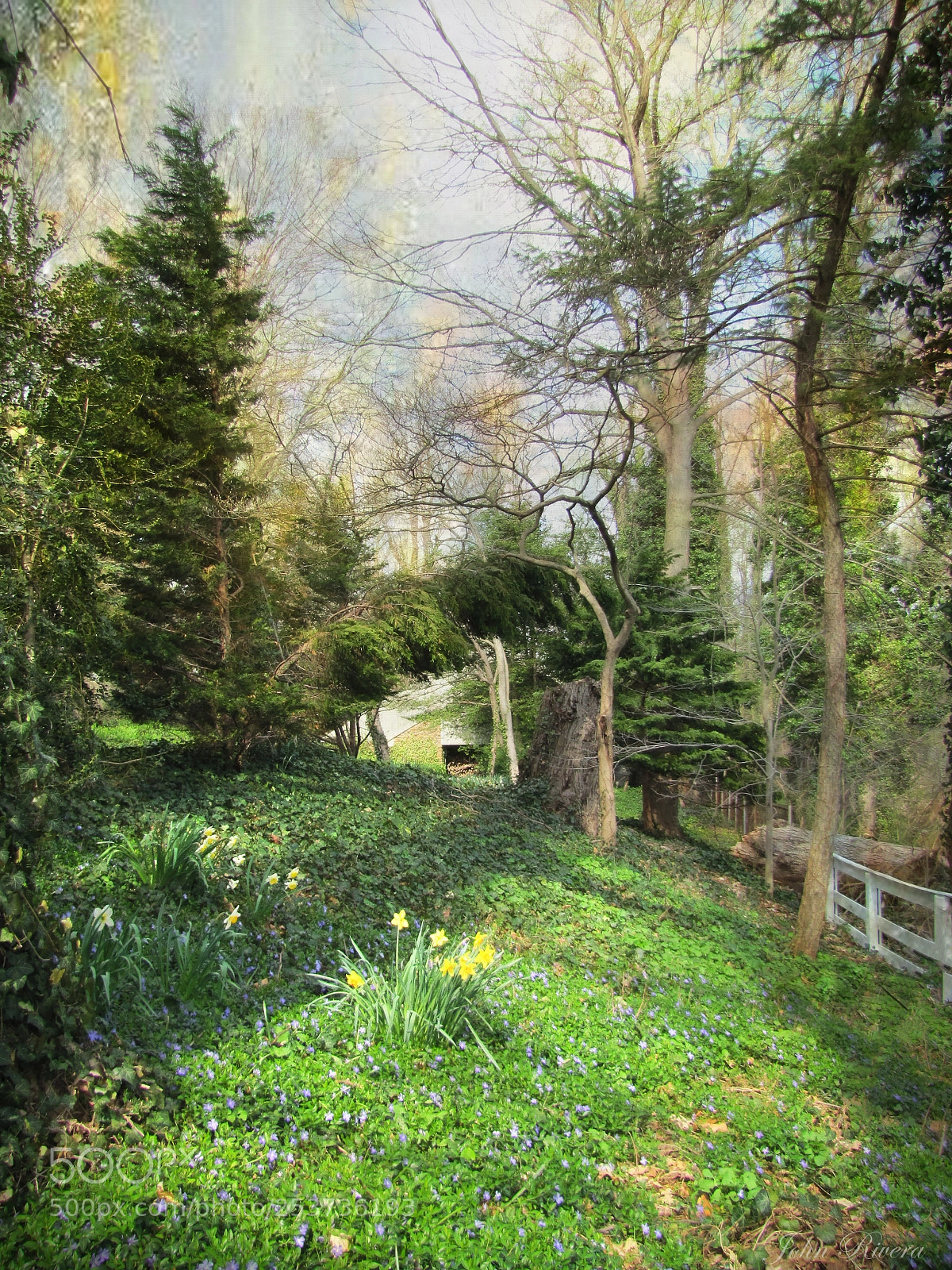 Canon PowerShot SX20 IS sample photo. On a spring morning photography