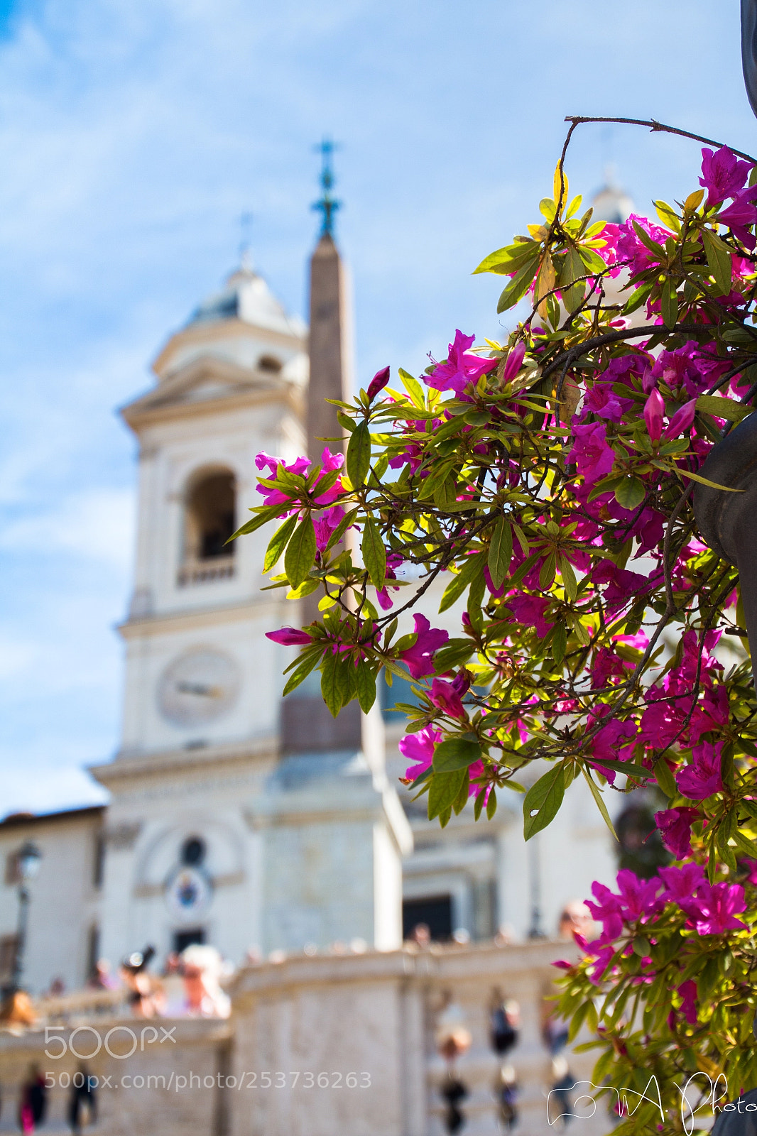 Canon EOS 700D (EOS Rebel T5i / EOS Kiss X7i) sample photo. Piazza di spagna. photography
