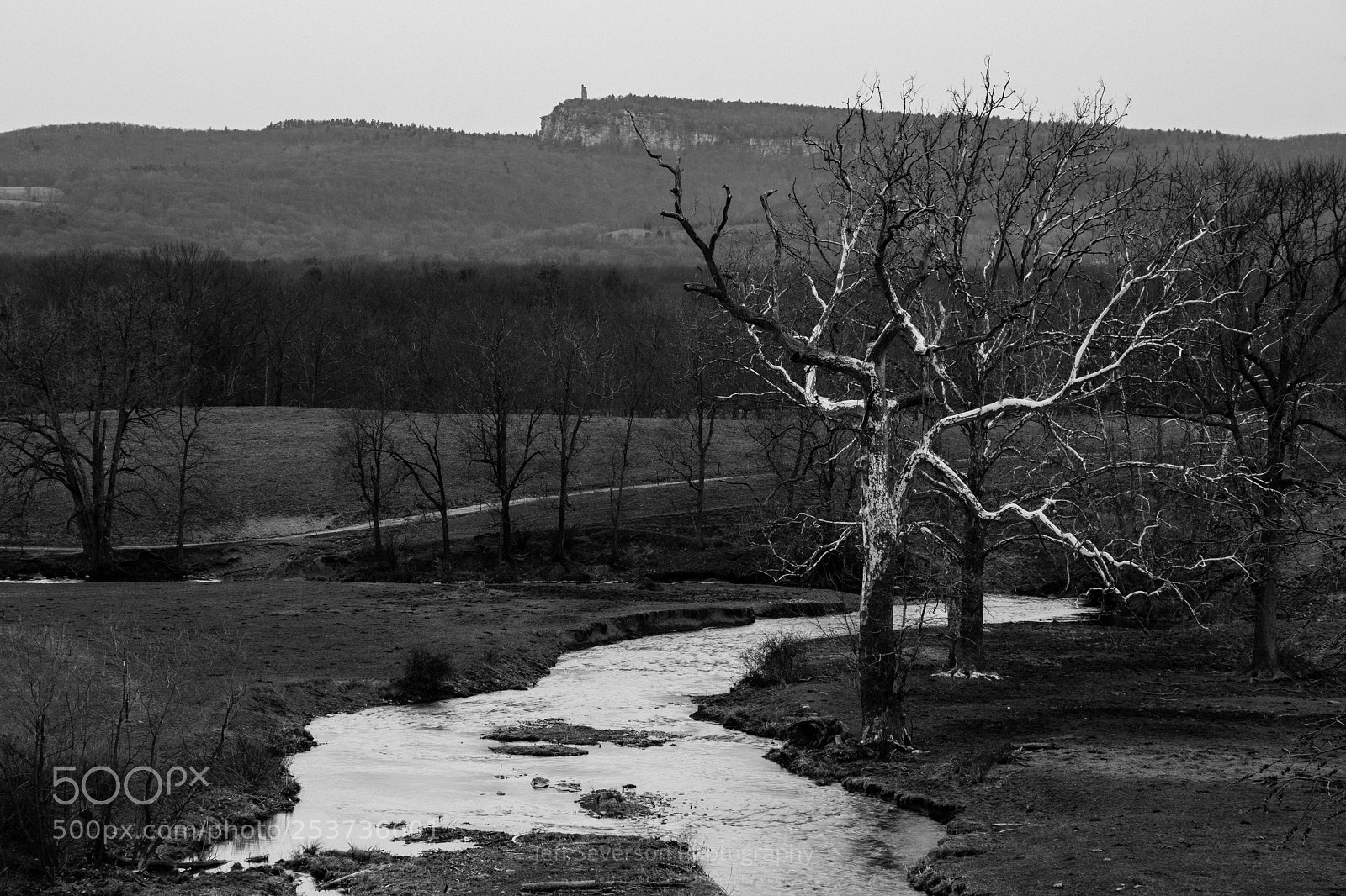 Canon EOS 70D sample photo. Spring scene at the photography