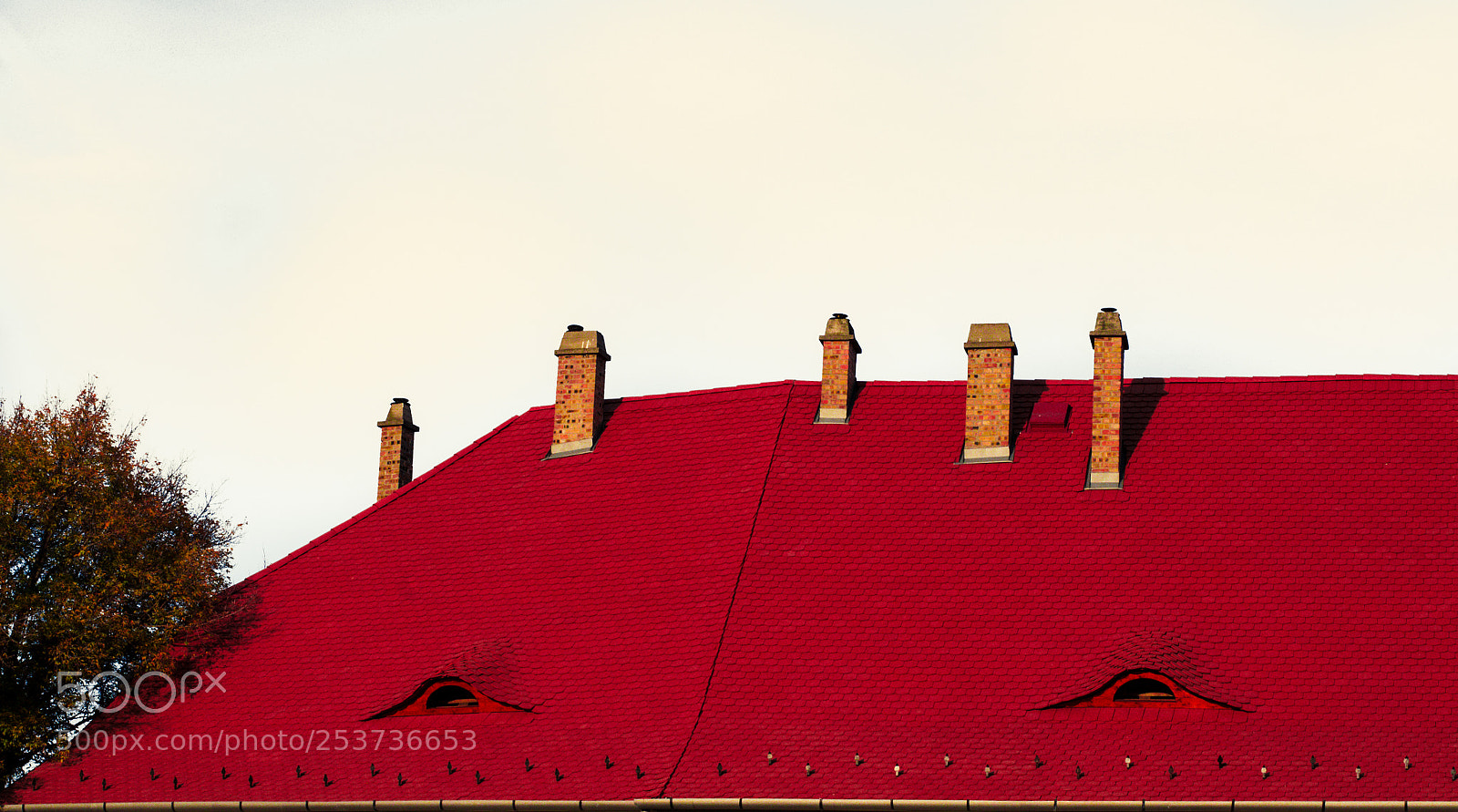 Nikon D7000 sample photo. Roof photography