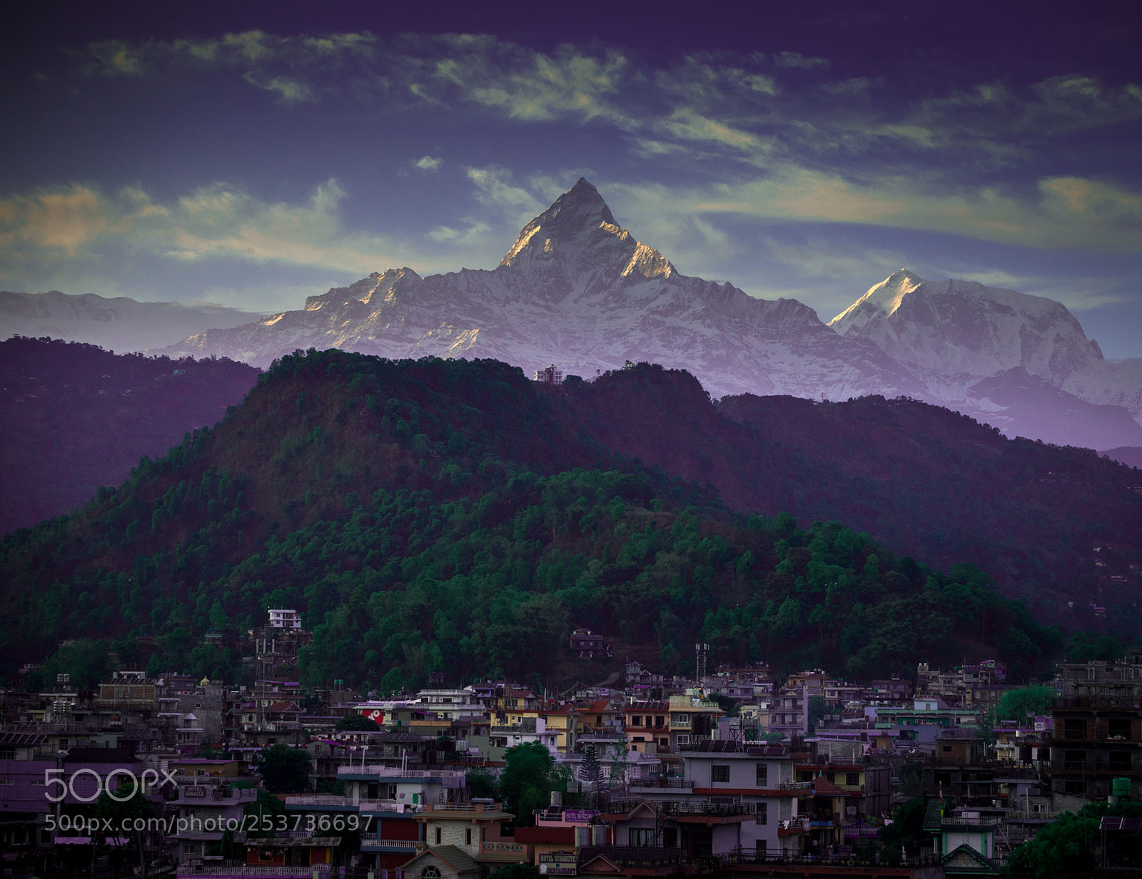 Nikon D610 sample photo. Untitled photography
