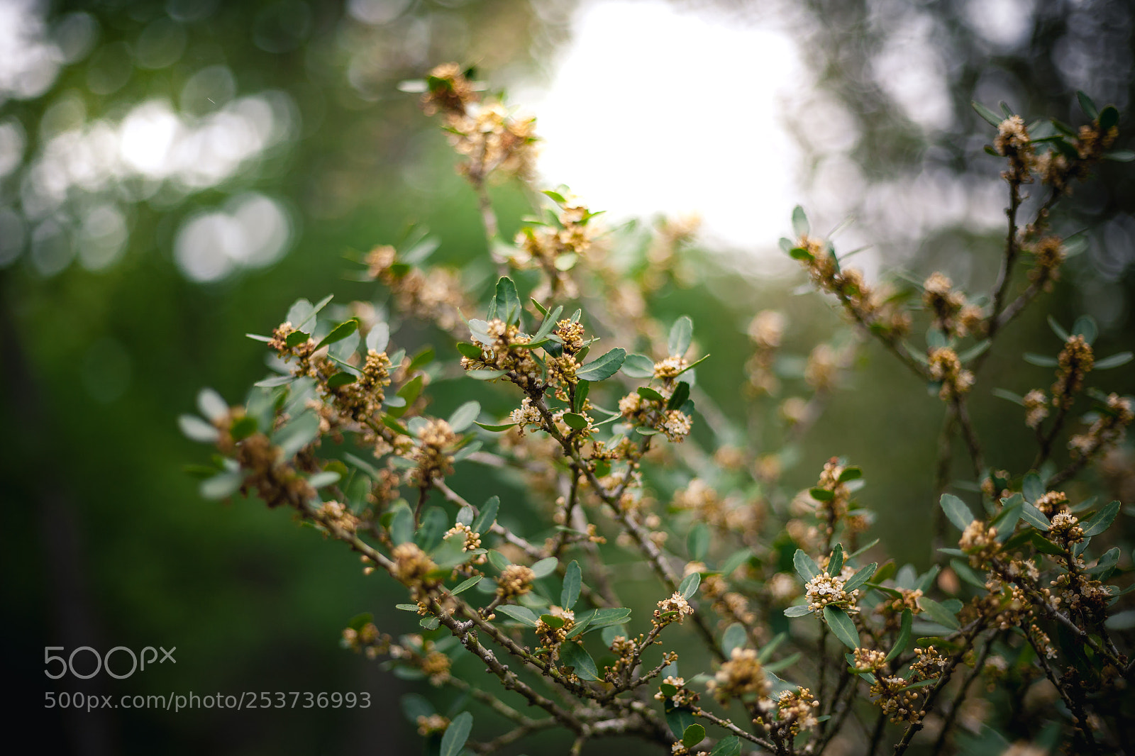 Canon EOS 5D sample photo. Nature photography