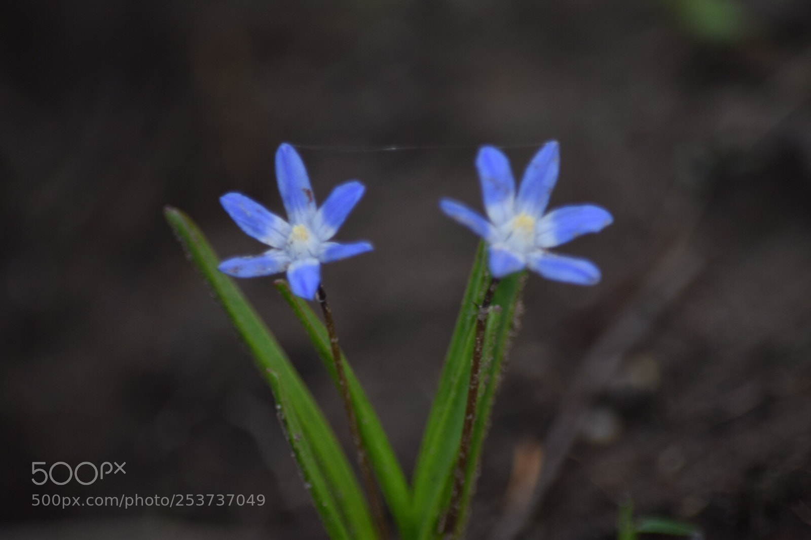Nikon D5300 sample photo. Untitled photography