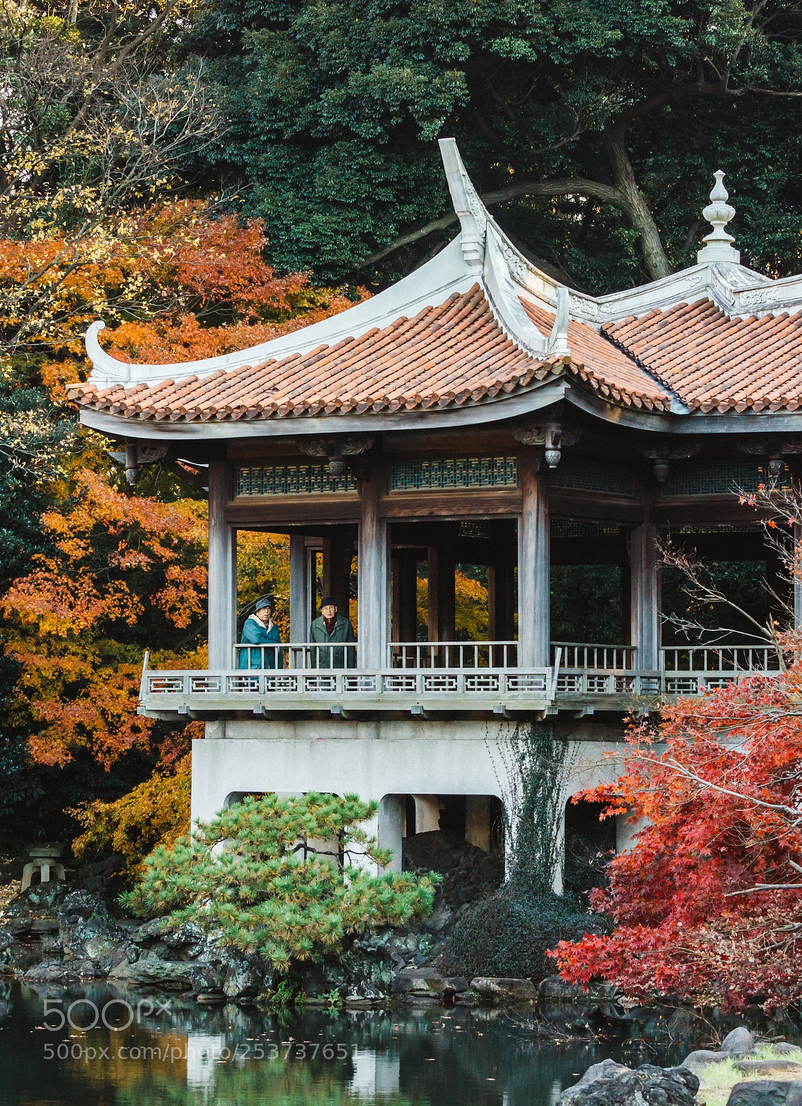 Canon EOS 60D sample photo. Shinjuku gyoen gardens photography