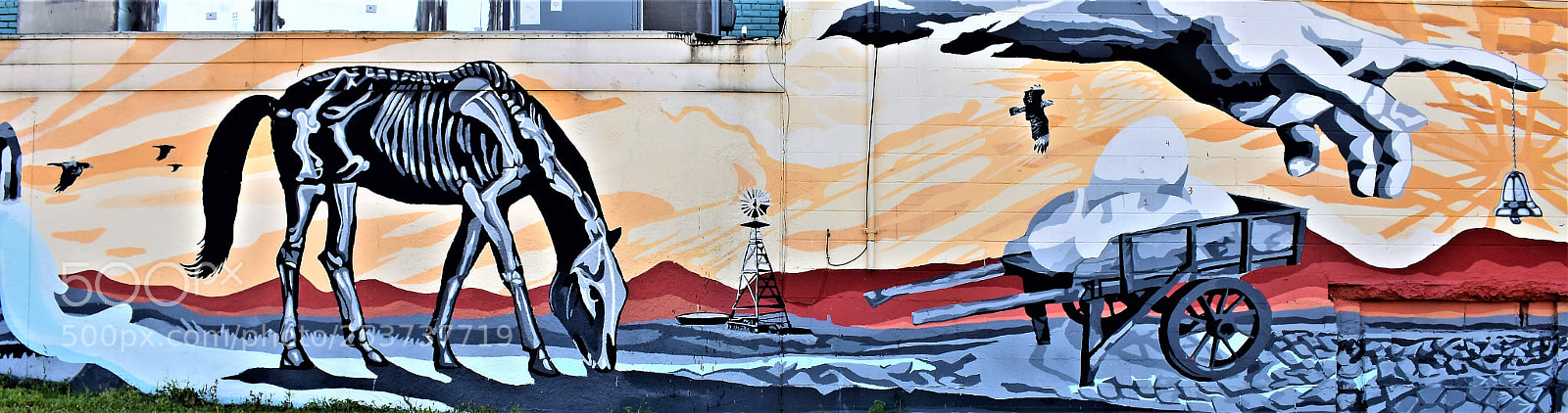 Nikon D3400 sample photo. Street art austin photography