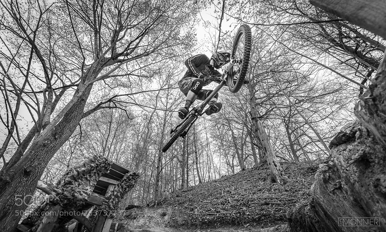 Nikon D500 sample photo. Into the trees photography