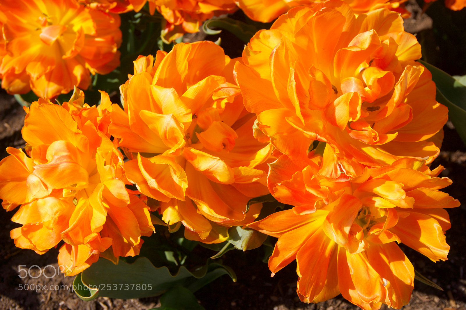Sony a6000 sample photo. Orange wave photography