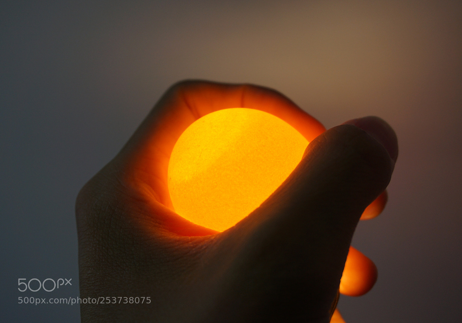 Sony a6000 sample photo. Holding a golden egg photography