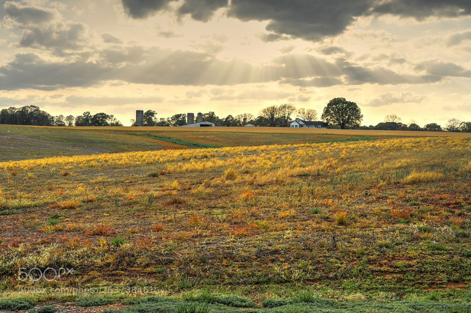 Sony a7 II sample photo. Out in the field photography
