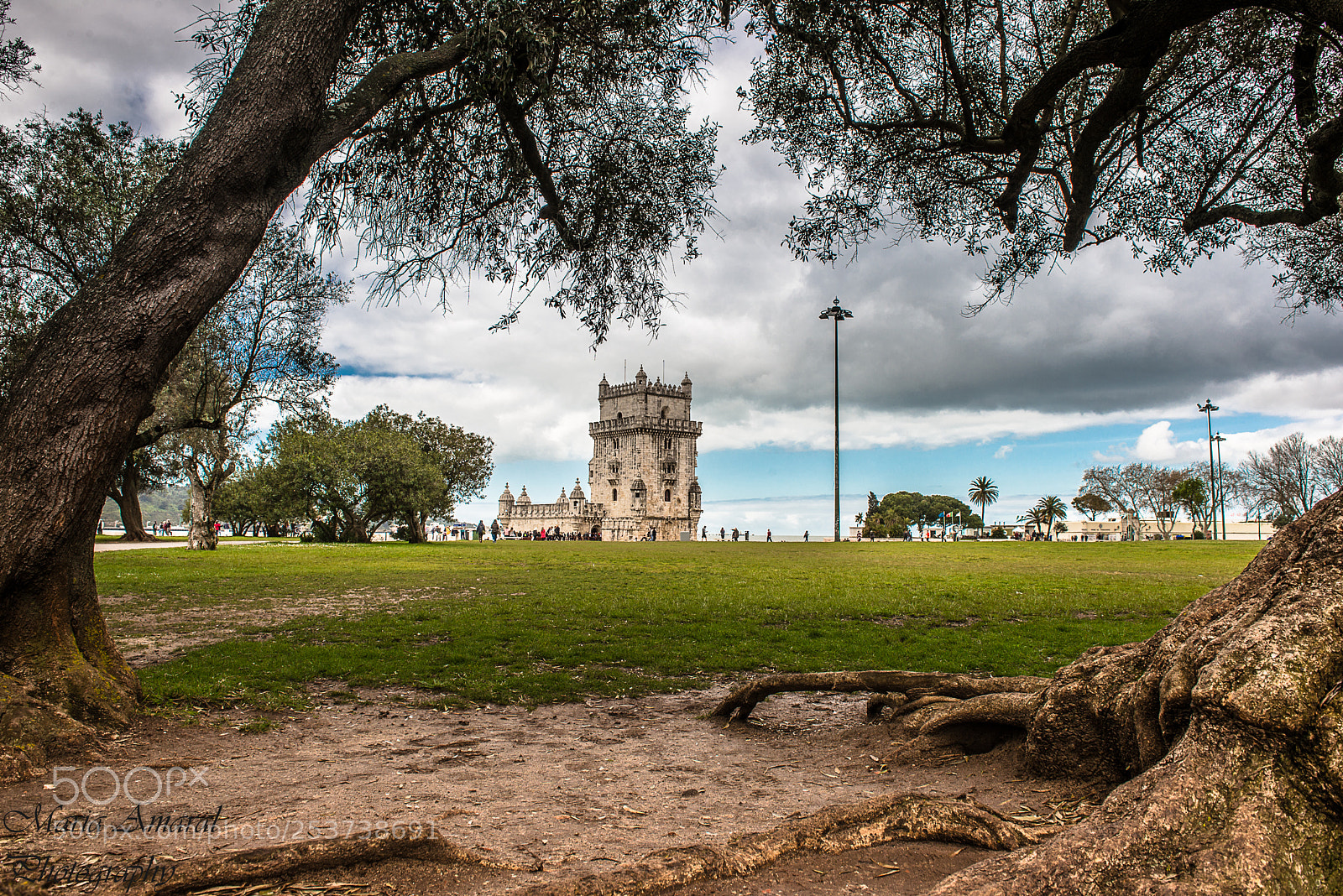 Nikon D610 sample photo. Moldura.... photography