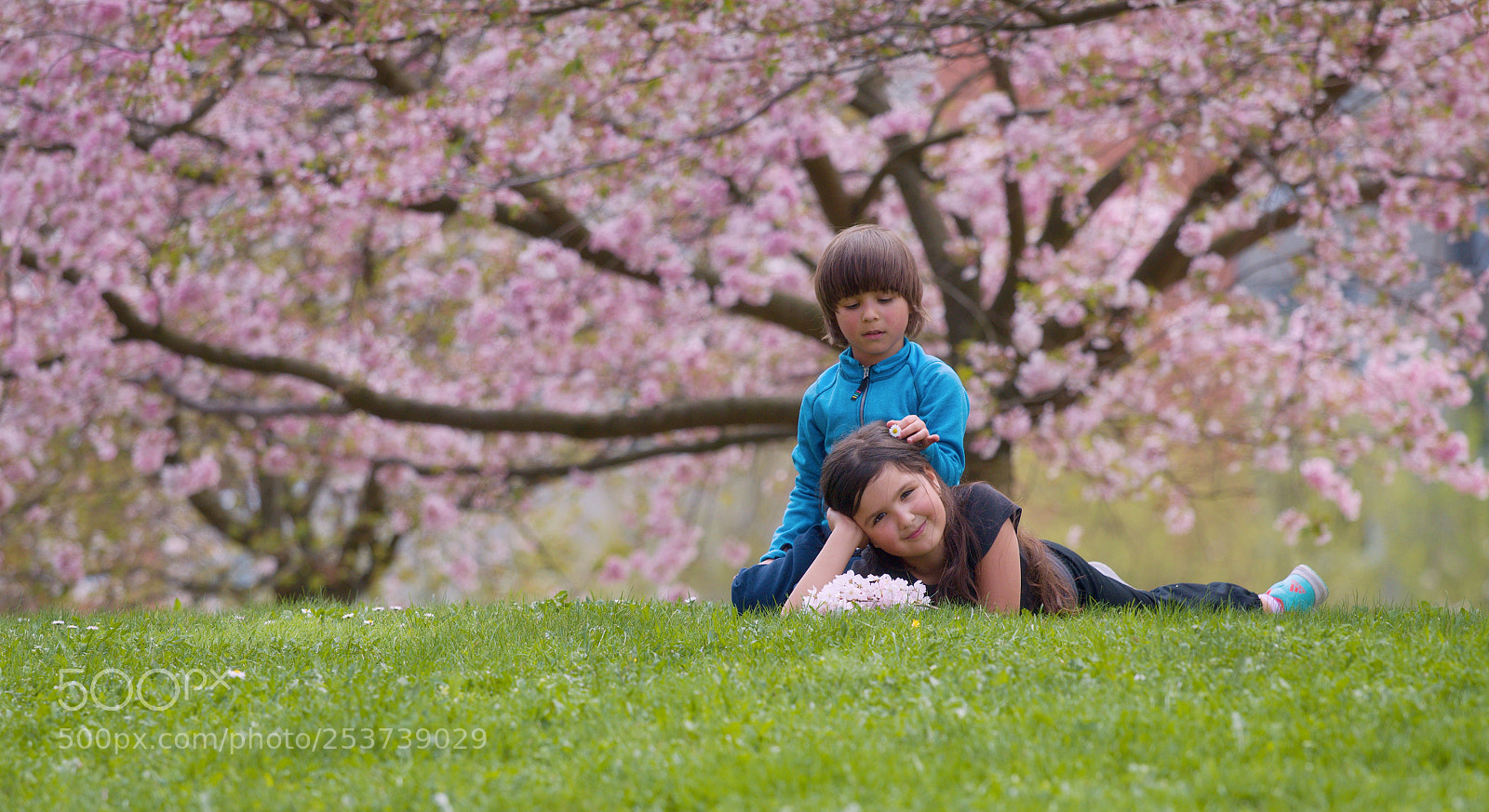 Canon EOS 70D sample photo. () photography
