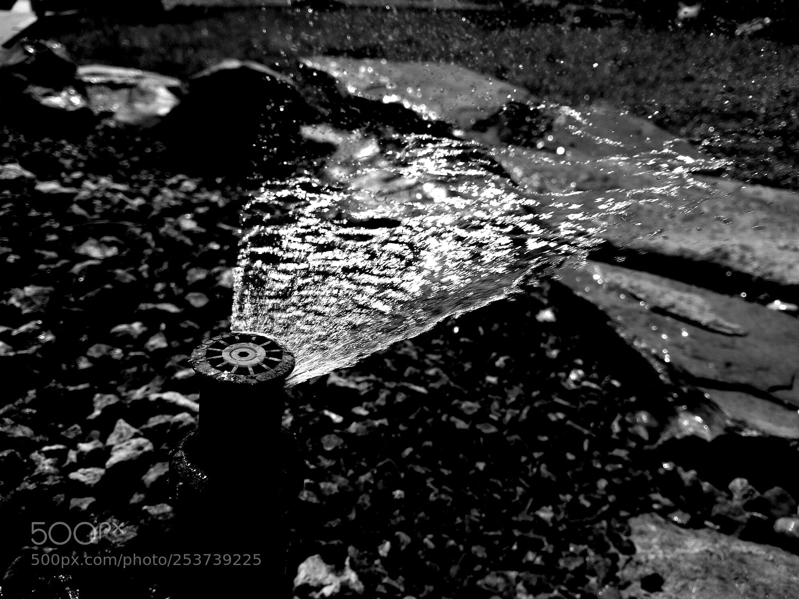 HUAWEI P10 sample photo. Water photography